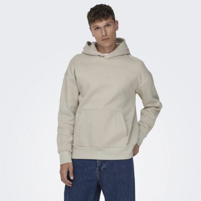 ONSDAN LIFE RLX HEAVY SWEAT HOODIE NOOS